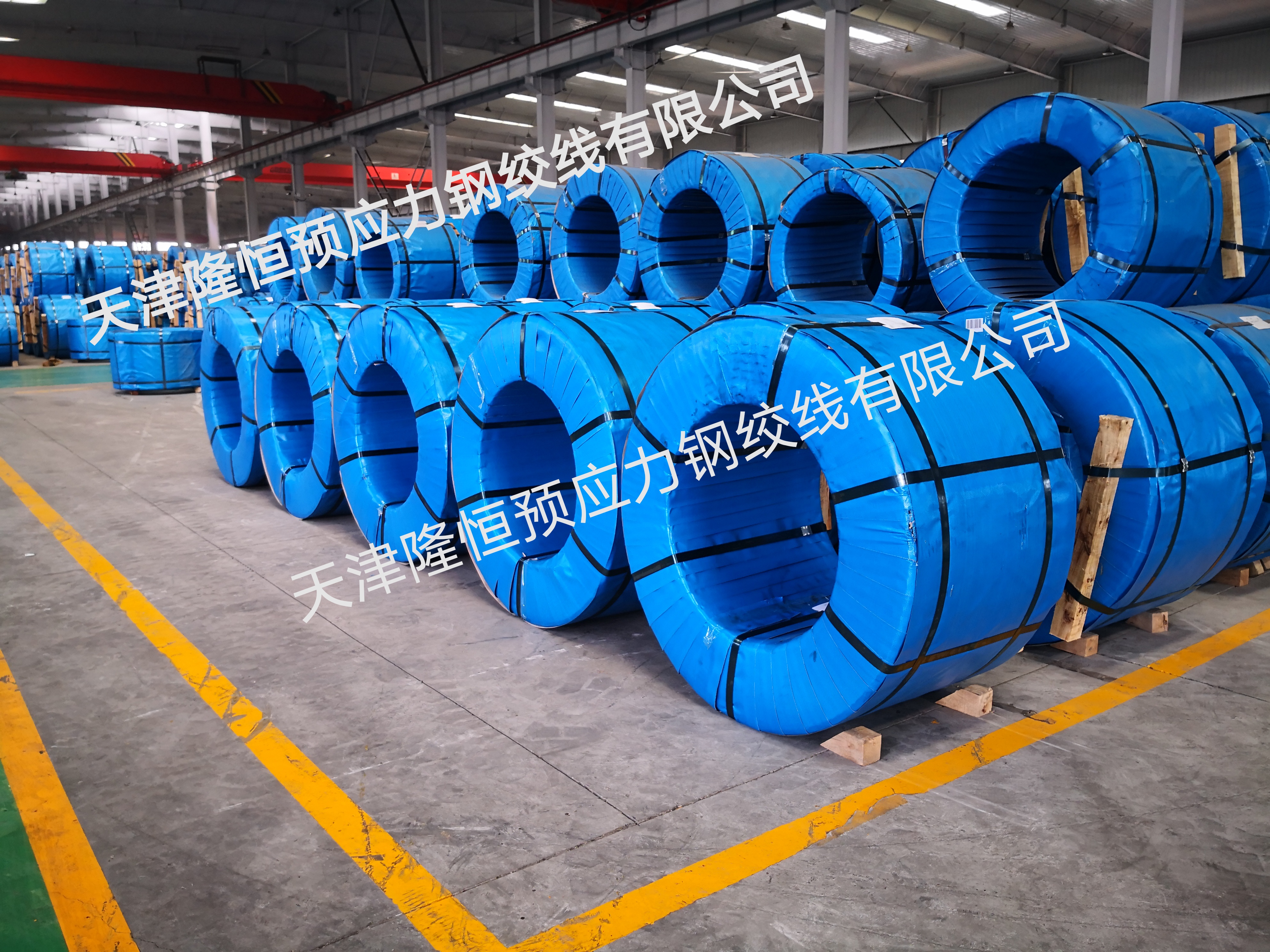 產(chǎn)品名稱(chēng)